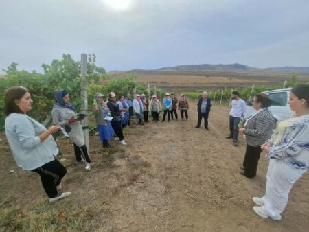 Qax sakinləri qəhvəyi mərmər bağacığına qarşı mübarizə tədbirləri barədə məlumatlandırılıblar