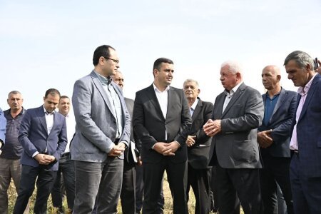 Sentyabr ayının sonlarından etibarən Azərbaycanda kütləvi pambıq yığımına başlanılıb