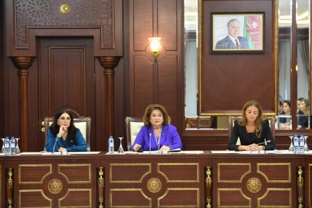 Ailə, qadın və uşaq məsələləri komitəsinin iclasında