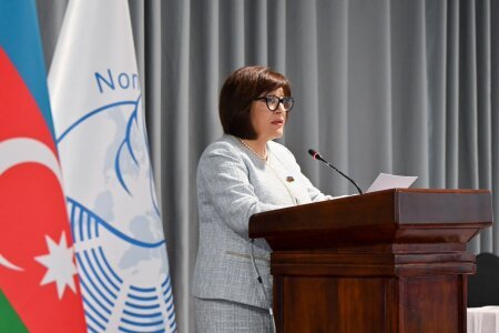 Spiker Sahibə Qafarova   Tanzaniyada Qoşulmama Hərəkatı Parlament Şəbəkəsinin   koordinasiya iclasına sədrlik edib